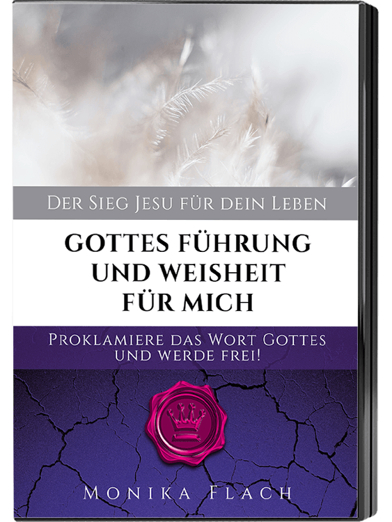 Gottes Führung und Weisheit für mich