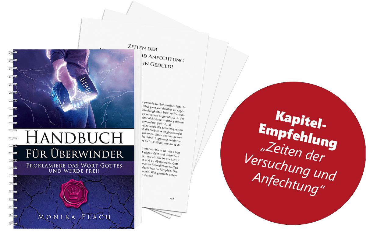 E03) Handbuch für Überwinder