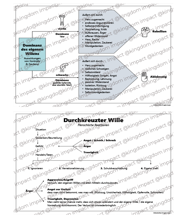 D13) Durchkreuzter Wille – Reaktionen & Dominanz des eigenen Willens
