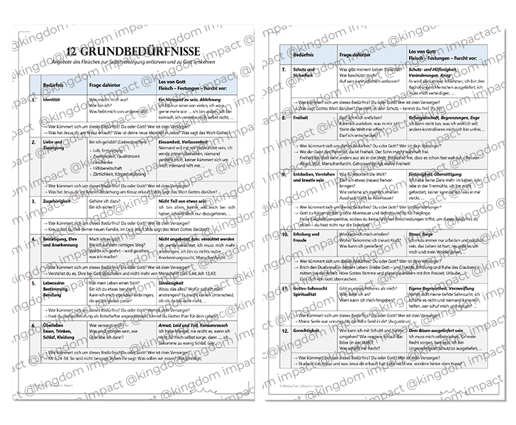 A08b) Grundbedürfnisse des Menschen – Tool