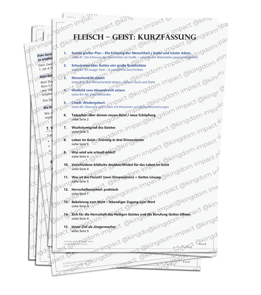 D01) Fleisch-Geist-Kurzfassung