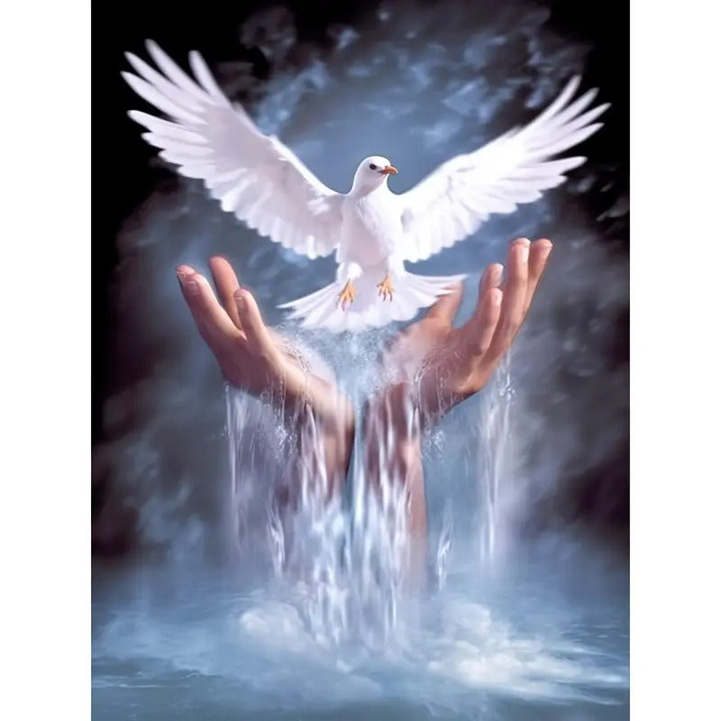 Taube über Wasserfall