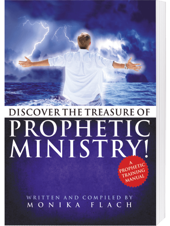 Discover the treasure of Prophetic Ministry - Buch