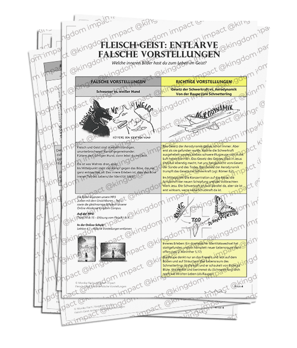 D03) Fleisch-Geist-Training mit Bildern – falsche Bilder entlarven