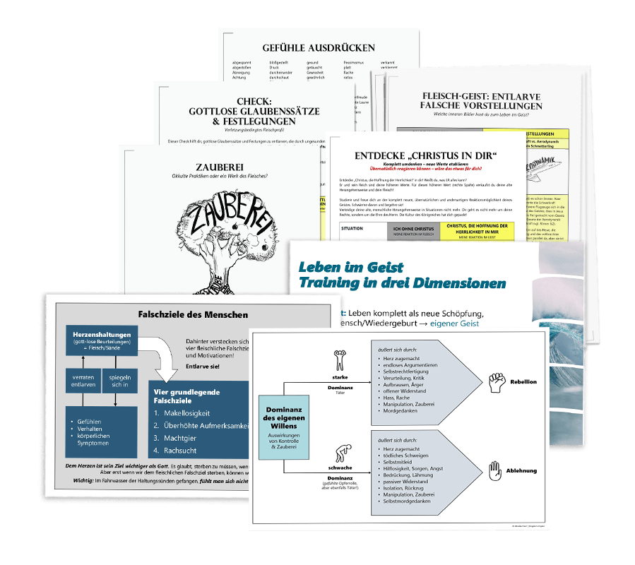 Themen-Set: Kategorie D – Fleisch-Geist-Training (laminiert)