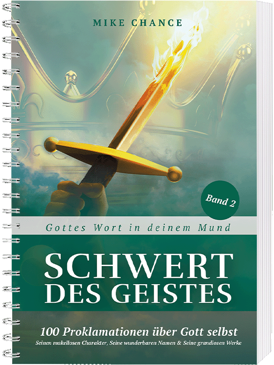 Das Schwert des Geistes - Band 2