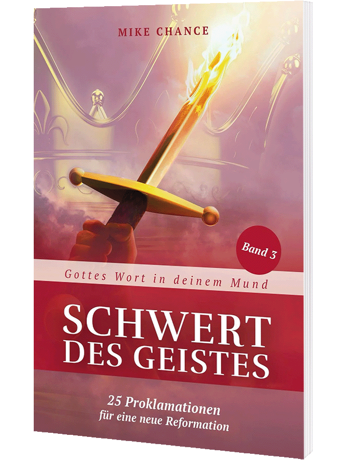 Das Schwert des Geistes - Band 3