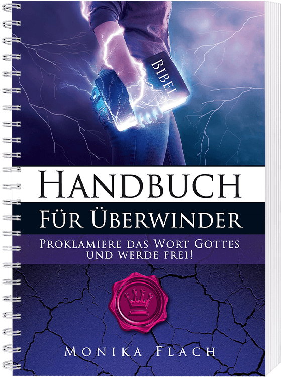 Handbuch für Überwinder – B-Ware