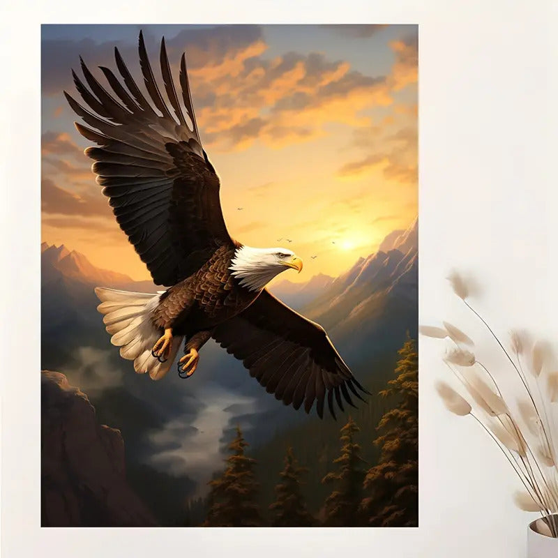 Adler Sonnenuntergang