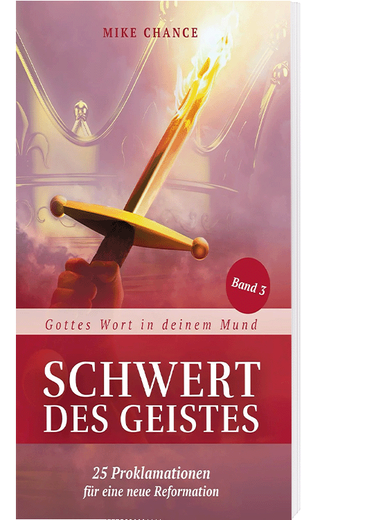 Das Schwert des Geistes - Band 3