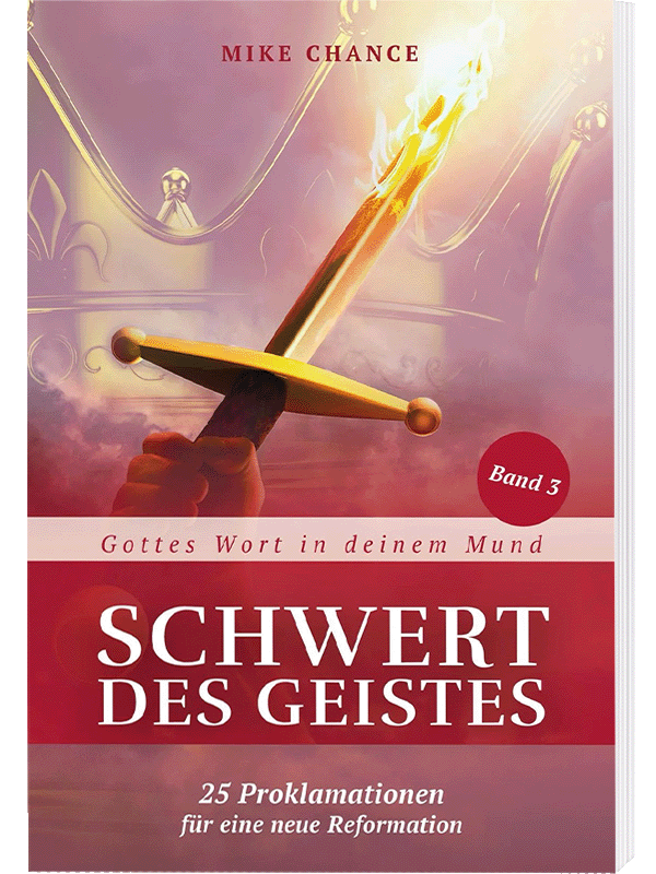 Das Schwert des Geistes - Band 3